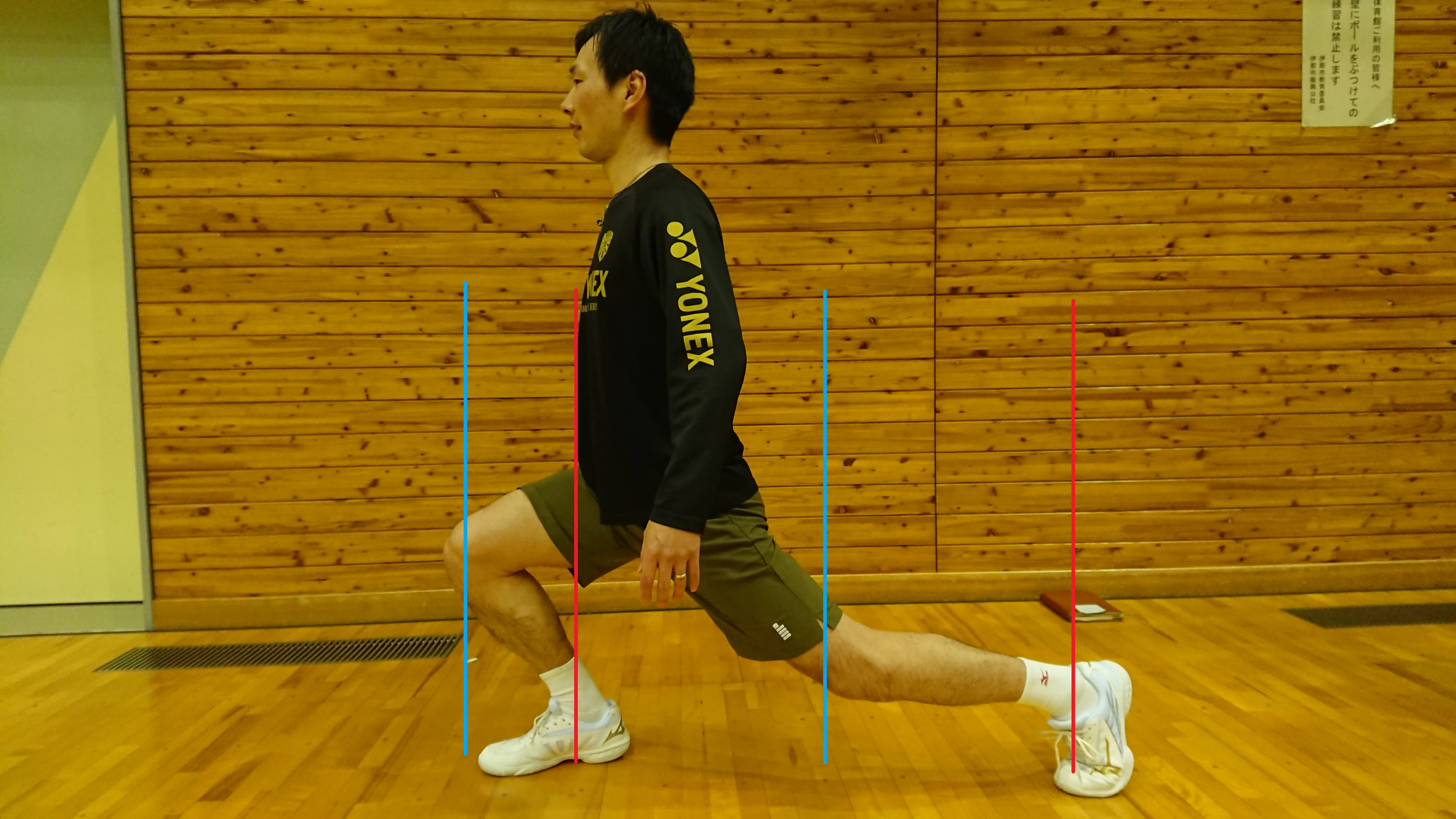 lunge_ng