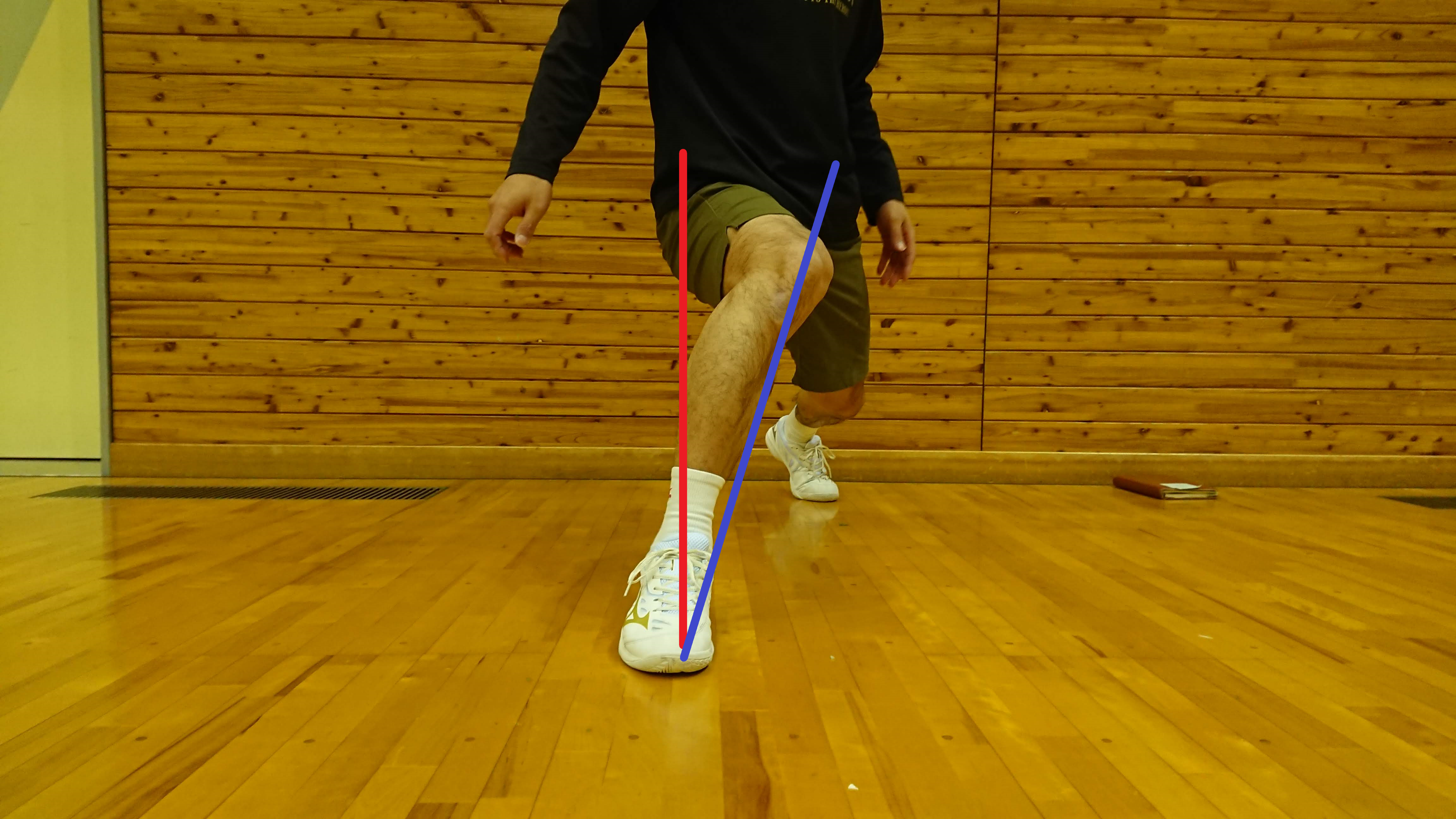lunge_thin